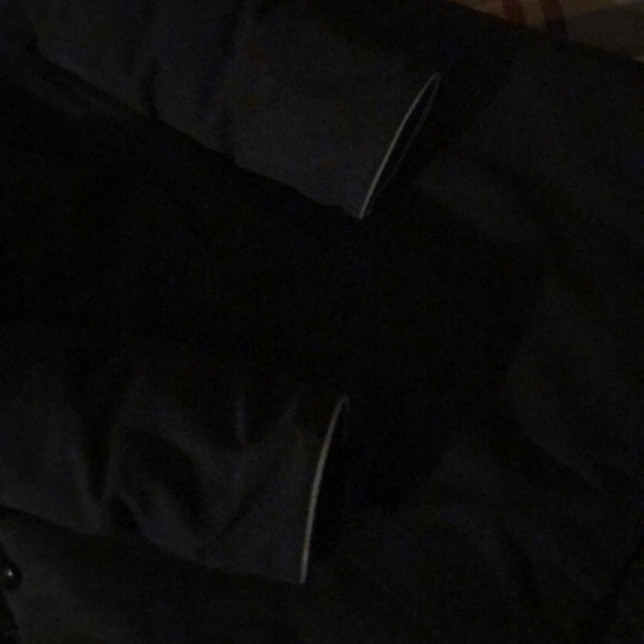 Canadian goose - Picture 6 of 6